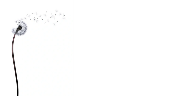 Stack of books next to pencils in a holder and a camera.