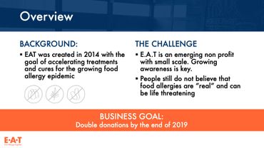 PowerPoint pitch overview slide on nonprofit background and challenges