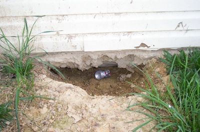 The family dog discovered there was no foundation work.