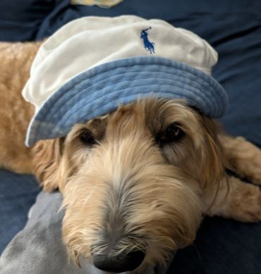 Blue Jones-Hunter, Emotional Support Staff