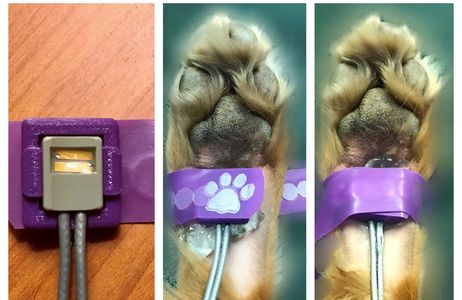 Doppler fit in the Crystal Cradle and wrapped around paw