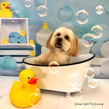 A happy dog in a bathtub surrounded by rubber ducks and bubbles.