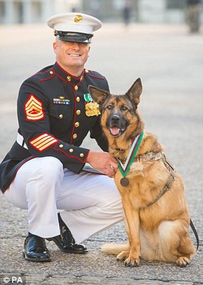 Gunnery Sgt Chris Willingham & Lucca display her beautiful PDSA Dickin Medal in London, England.