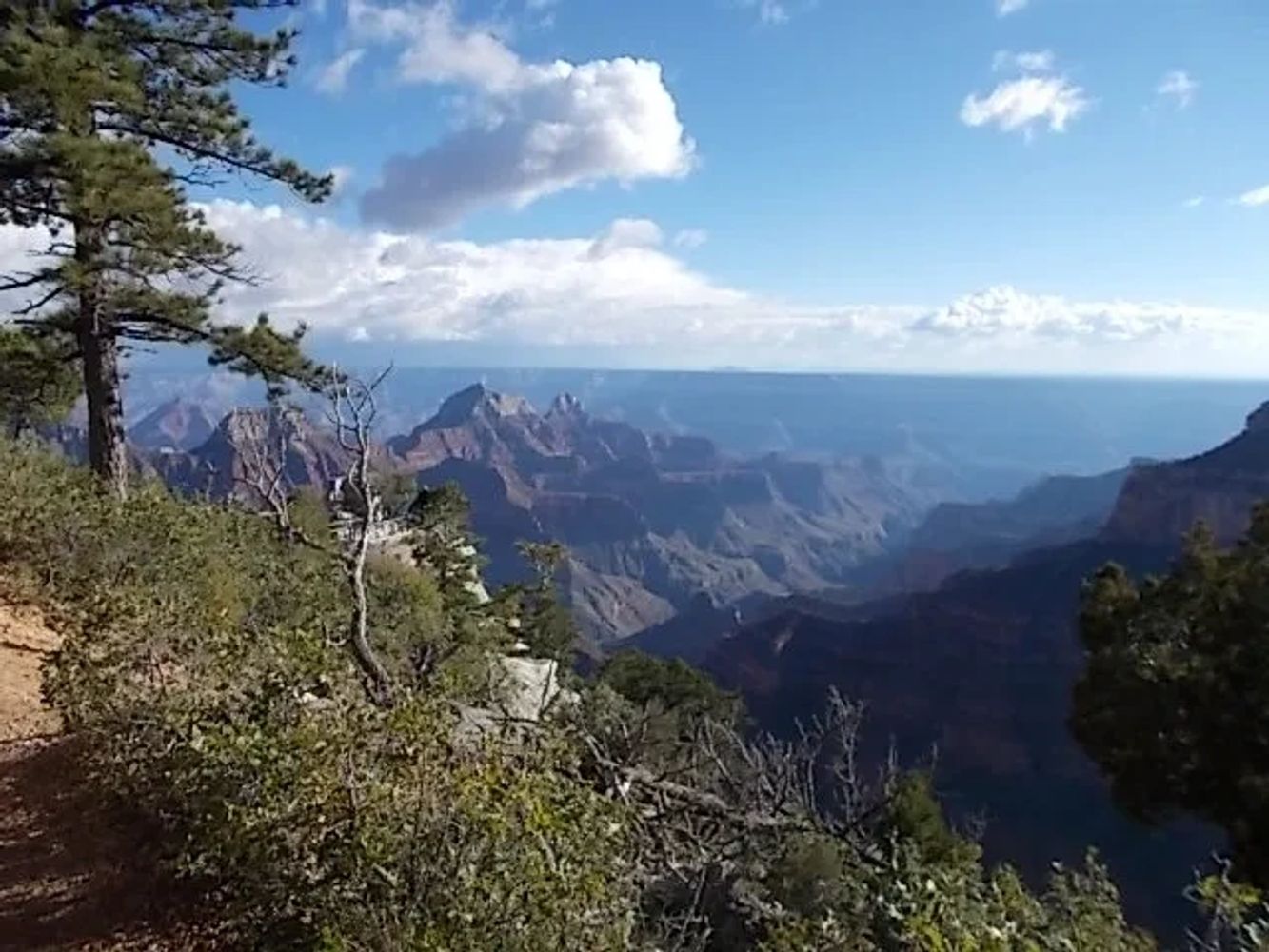 The Grand Canyon - North Rim