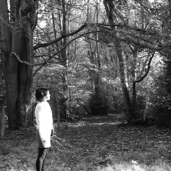 Person standing in a sunlit forest holding sticks.