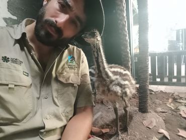 Work at the Territory wildlife Park in Berry Springs - Darwin