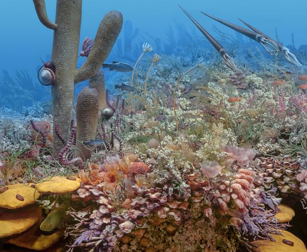 Ancient Permian reef for North American Museum of Ancient Life.