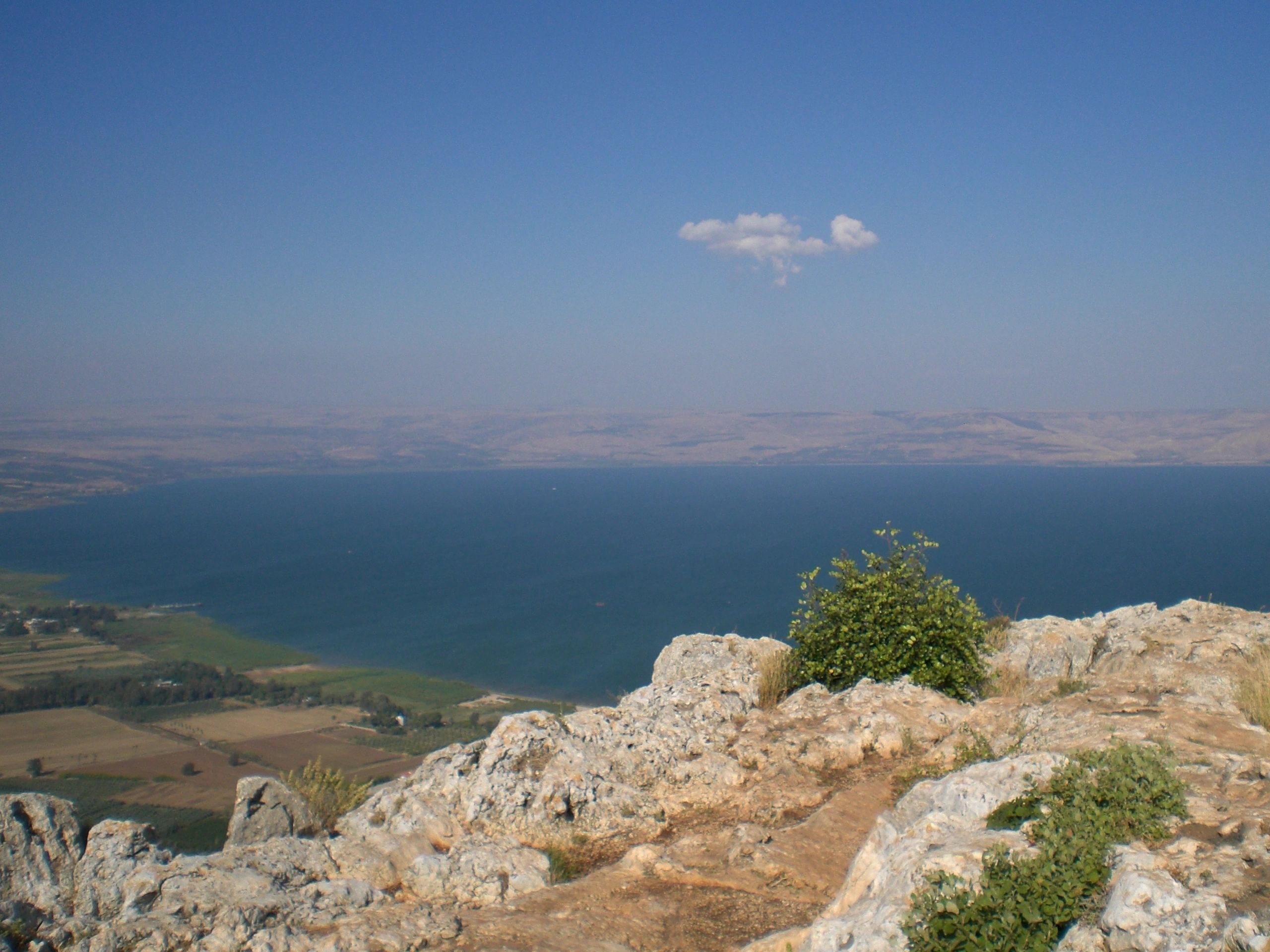 Sar Shalom Israel - Home