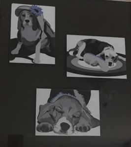 Gadget, My beagle
I created this in computer graphics class, learning Illustrator