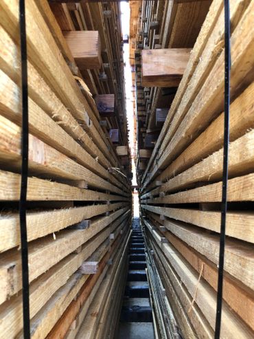 Large sawmill newton tx