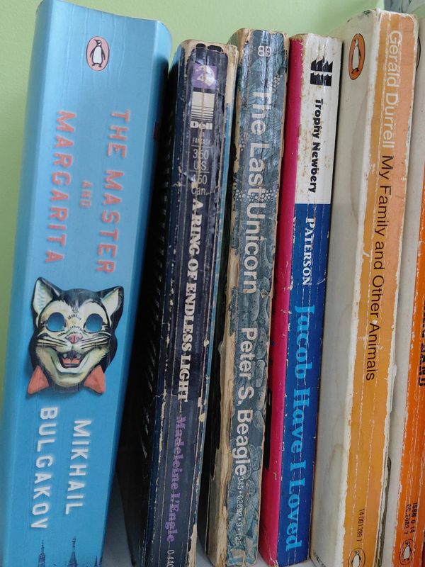 Close-up of a row of worn and new books on a shelf.