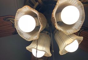 LED Lightbulbs