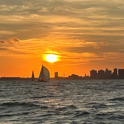Sailboats glide on the water against a vibrant sunset and city skyline.