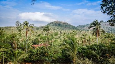 The relaxing view at Jim's Farm Villas