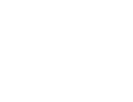 MUDDY PAWZ MEDIA