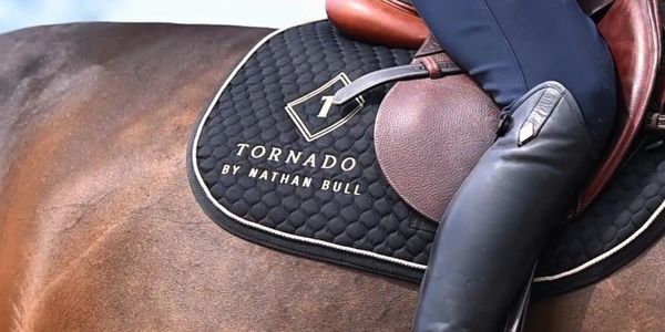 Close-up of a horse's saddle with rider's leg.