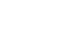 Vitruvian Martial Arts logo