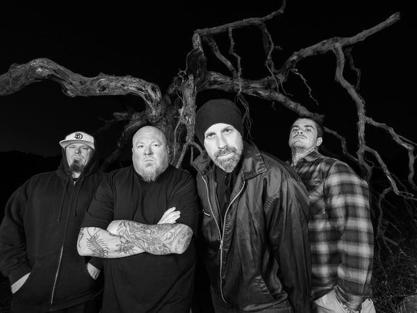A group of four men posing in front of a leafless tree at night.