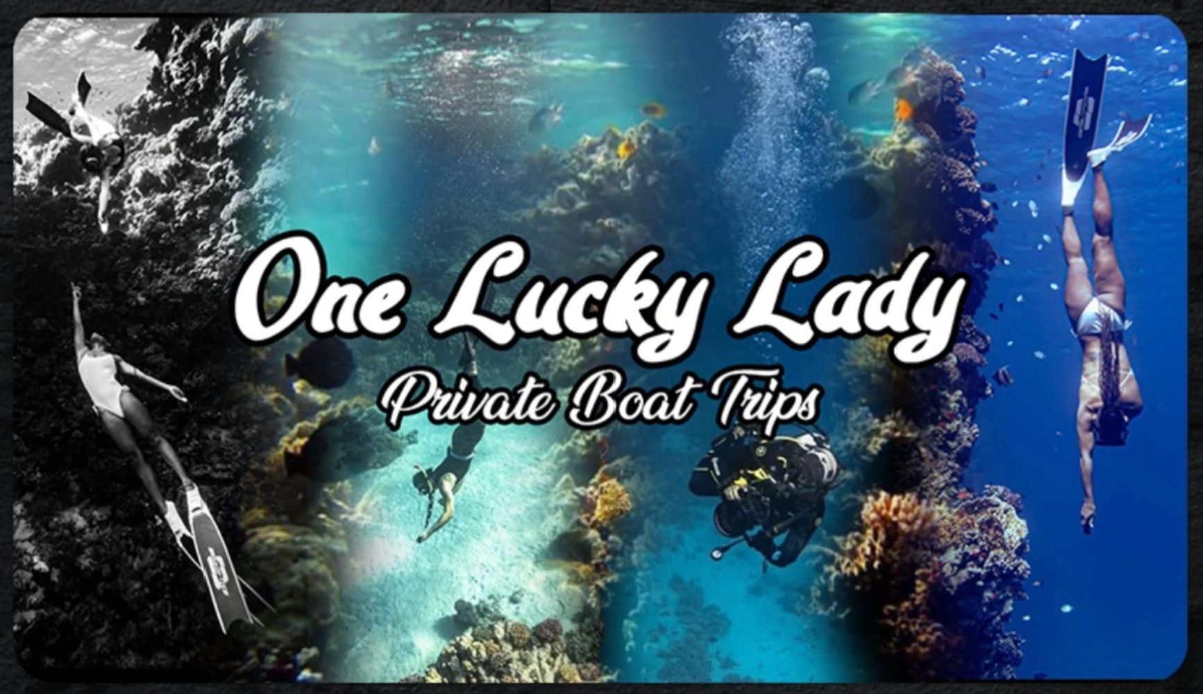 Underwater divers explore vibrant coral reefs in a promotional image for One Lucky Lady boat trips.