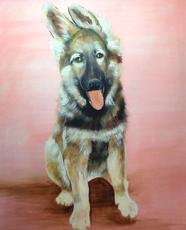 German Shepherd puppy - guide dog in training