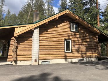 A rustic log cabin with a concrete chimney surrounded by tall pine trees.