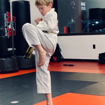 Young boy practicing martial arts kick.