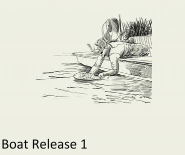 trophy fish portrait