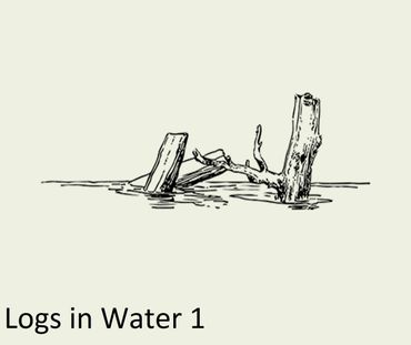 trophy fish portrait