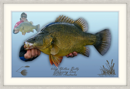 trophy fish portrait
