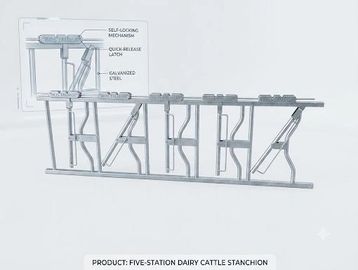 Five-station dairy cattle stanchion with labeled features.