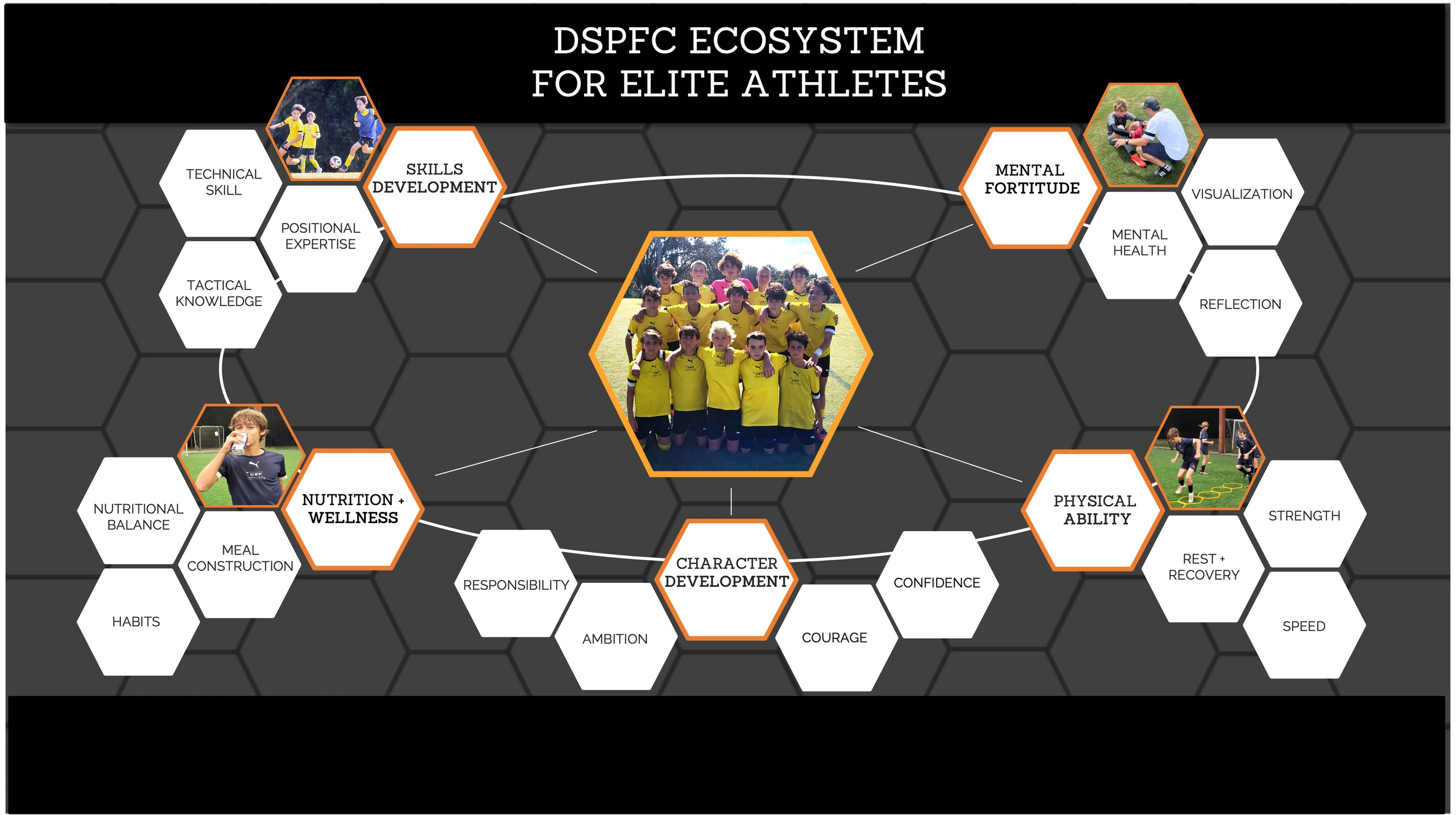 DSPFC Ecosystem for Elite Athletes: Skills, Mentality, Nutrition, Character, & Physical Ability