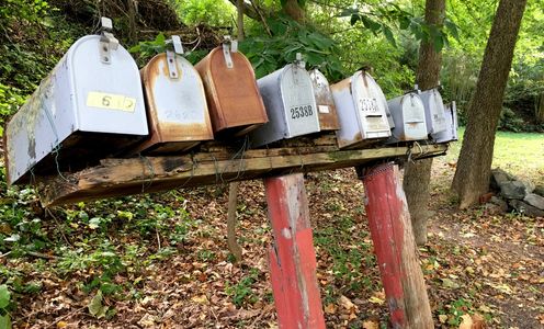 creative content for press releases