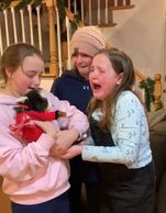 Miniature Australian Shepherd breeder. Miniature American Shepherd Breeder. Toy Australian Shepherd