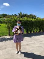 Miniature Australian Shepherd breeder. Miniature American Shepherd Breeder. Toy Australian Shepherd