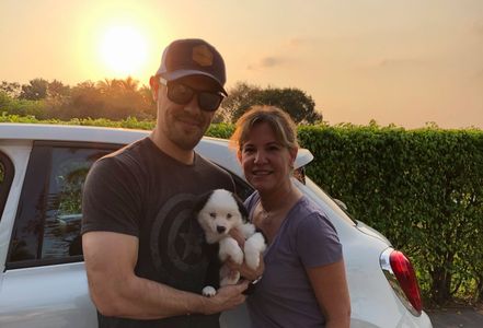 Miniature Australian Shepherd breeder. Miniature American Shepherd Breeder. Toy Australian Shepherd