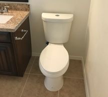 1.1 GPF/1.6 GPF High Efficiency Dual Flush