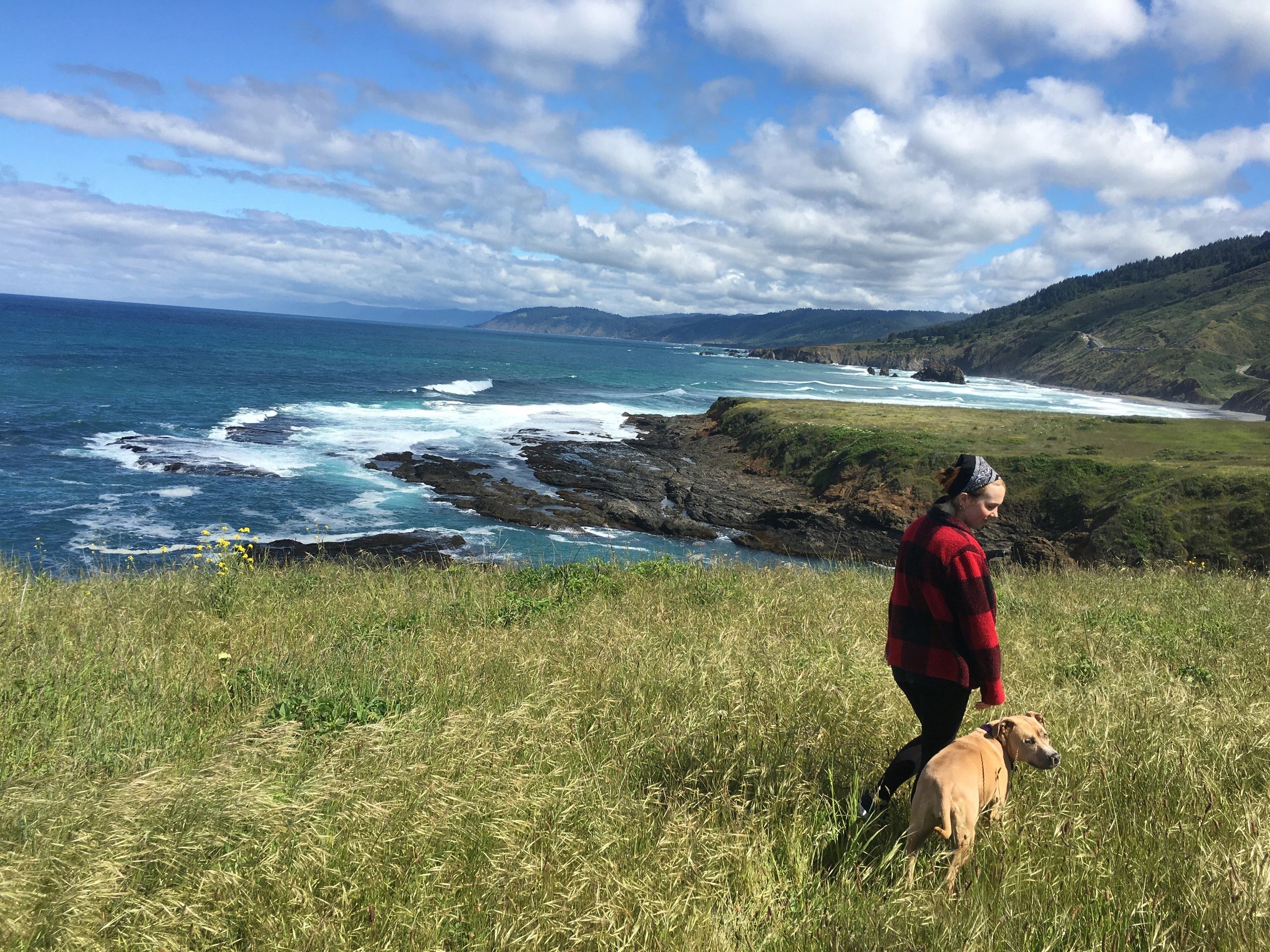 Hiking  along the Pacific ocean to a beautiful vista with your best friend.