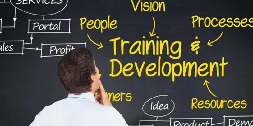 Man analyzing a flowchart on training and development on a blackboard.
