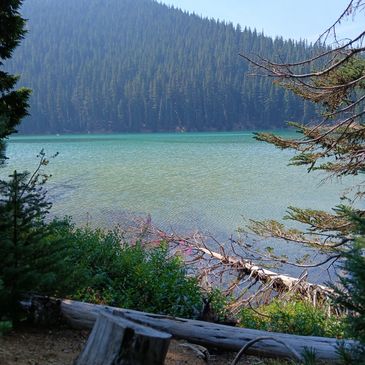 Tranquil mountain lake surrounded by dense forest under clear sky.