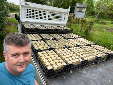 Miel d'ete mis en pot pret pour livraison.