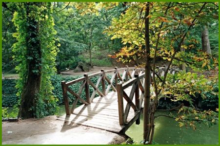 Garden with trees and a bridge