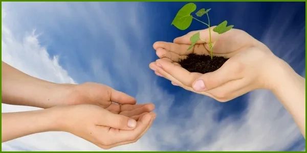 Soil in a pair of hands