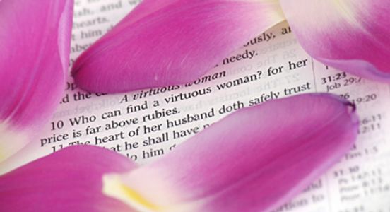 Petals over a bible page