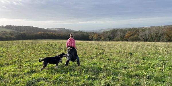 Person in pink hoodie walking a black dog in a grassy field under a cloudy sky.