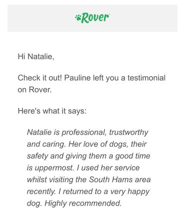 Dog walker Kingsbridge Chillington stokenham torcross frogmore Slapton beeson beesands