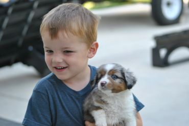 Young boy holding a puppy with a happy expression.