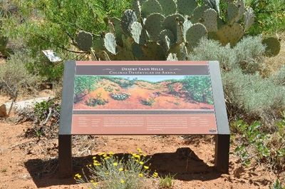Friends of the Living Desert