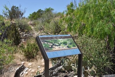 Friends of the Living Desert
