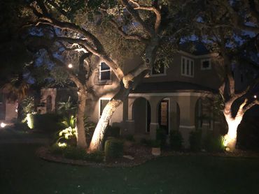 Landscape Lighting