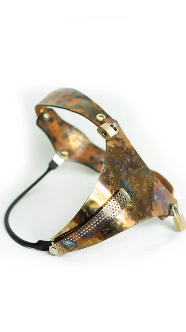 Metal Female Chasity